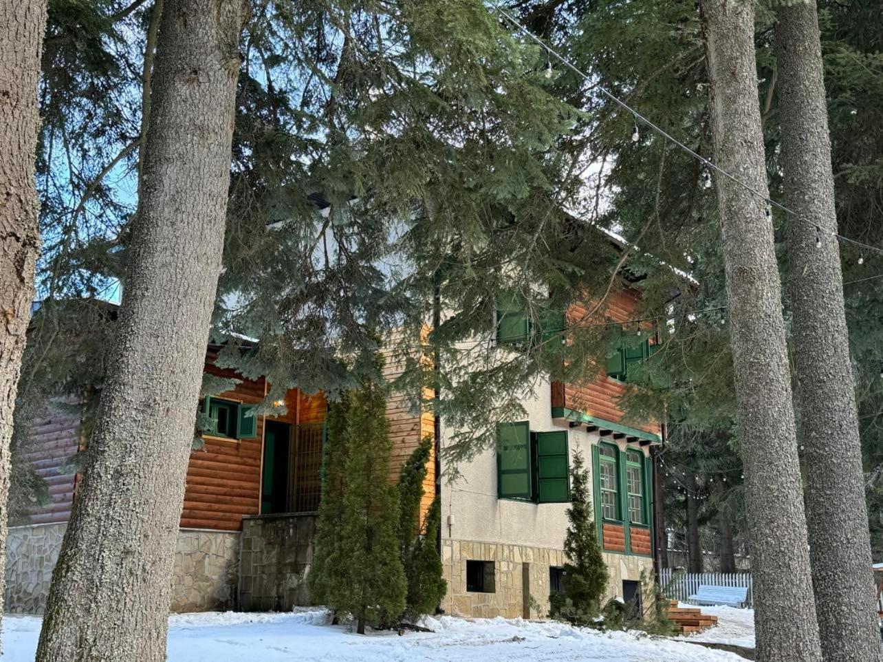 Villa Adis With Hot Pool & Jacuzzi By Bookvillabg Borovets Buitenkant foto